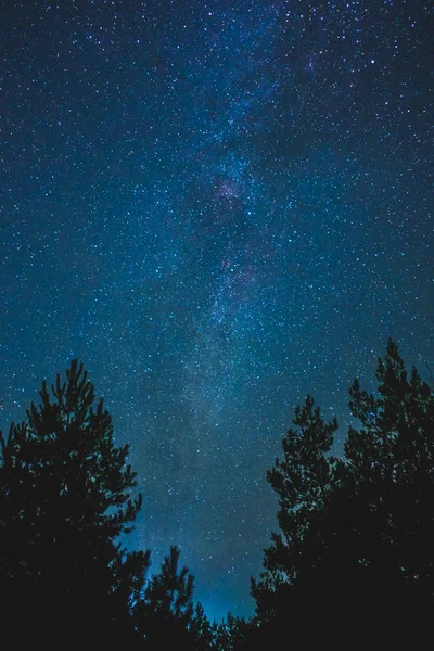 농촌 풍경을 밤 하늘. — 스톡 사진