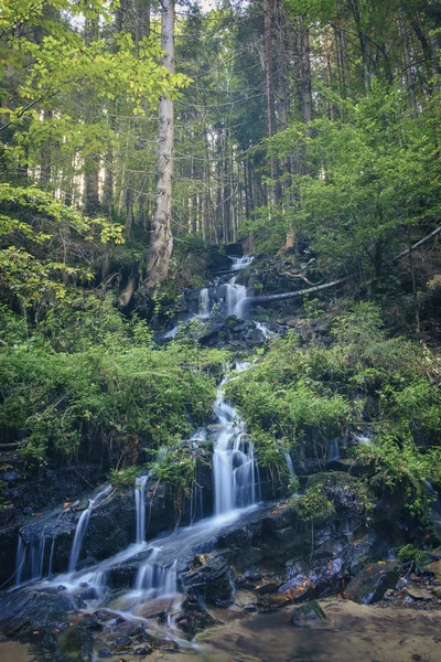 Cascade Dans Forêt Avec Eau Claire — Photo