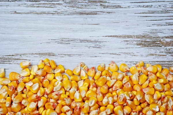 Raw corn grains — Stock Photo, Image