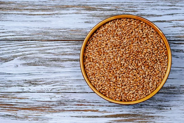 Wheat grain in a bowl on a blue table, top view