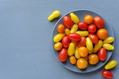 Organik taze sarı ve kırmızı domates gri tabakta gri masaya yukarıdan izlendi. Küçük domates Homegrown hasat