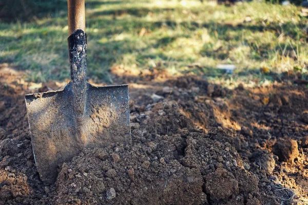 Yeni kazılmış toprağa saplanmış kürek ya da kürek — Stok fotoğraf