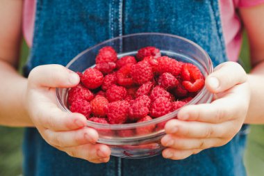 Elinde cam bir kase taze ahududu tutan küçük bir çocuk, açık havada, sağlıklı bir diyet konseptinde.