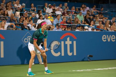 Alexander Zverev (Ger) kardeşi Mischa Zverev (Ger) 2 Ağustos 2018 yılında Washington Dc üzerinde Citi açık tenis turnuvasında yendi