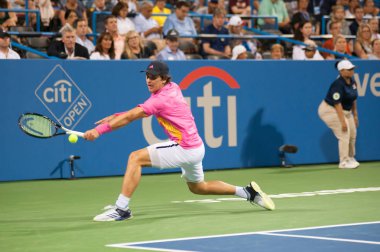 Mischa Zverev (Ger) kardeşi Alexander Zverev (Ger) Citi açık tenis turnuvasında 2 Ağustos 2018 yılında Washington Dc düşüyor
