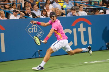 Mischa Zverev (Ger) kardeşi Alexander Zverev (Ger) Citi açık tenis turnuvasında 2 Ağustos 2018 yılında Washington Dc düşüyor