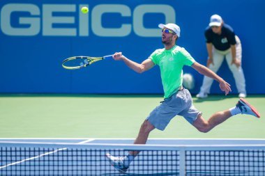 Victor Troicki (SRB) Tayland-son Kwiatkowski (ABD, resimli değil) 28 Temmuz 'da Citi açık tenis turnuvası eleme turu, 2019 Washington DC düşüyor