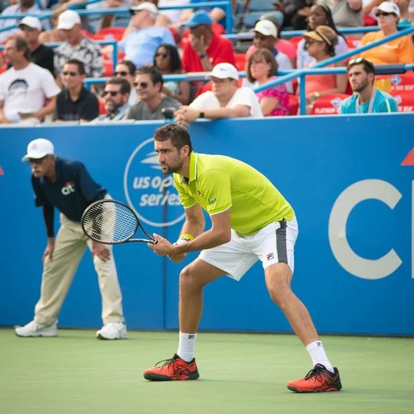 Marin Ciliç (Cro) 1 Ağustos 2019'da Washington Dc'de düzenlenen Citi Open tenis turnuvasında