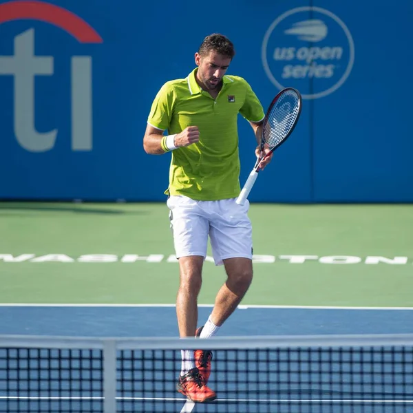 Марін Кісіч Кро Citi Open Тенісний Турнір Серпня 2019 Вашингтоні — стокове фото