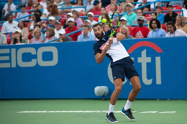 Benoit Paire (Fra) 2 Ağustos 2019'da Washington Dc'deki Citi Open tenis turnuvasında