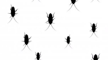 Aşağı çalışan hamamböceği