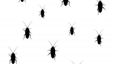 Hamamböceği istilası