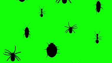 Eklembacaklılar işgali