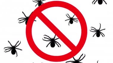 Örümcekler yasak işareti