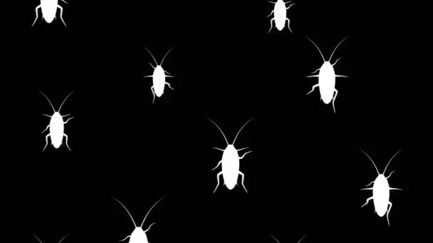 Тараканы бегут вверх — стоковое видео