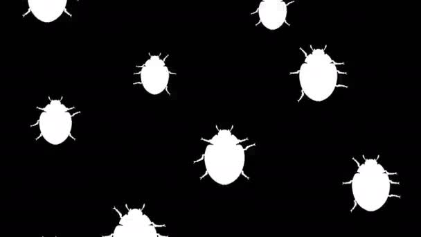 Beetles running up — Stock Video