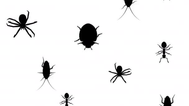 Arthropodes en cours d'exécution — Video