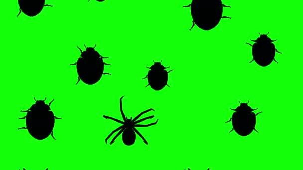 Arthropodes en marche 