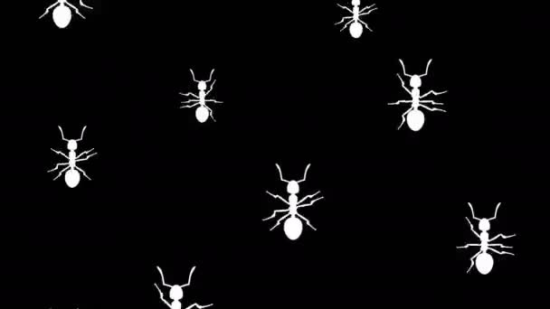 Hormigas corriendo — Vídeos de Stock