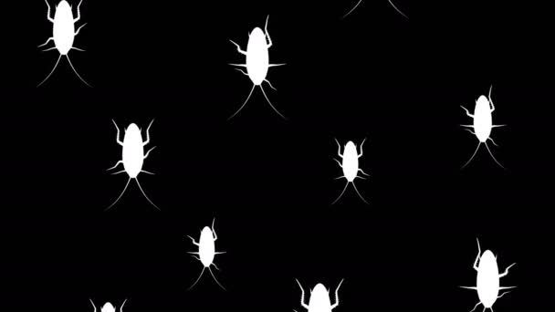 Invasion of cockroaches — Stock Video