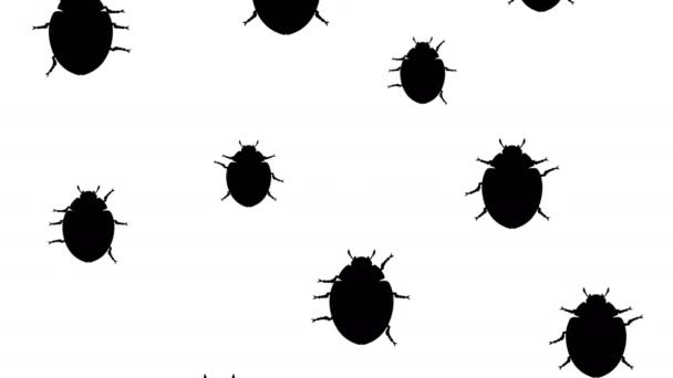 Вторжение жуков — стоковое видео