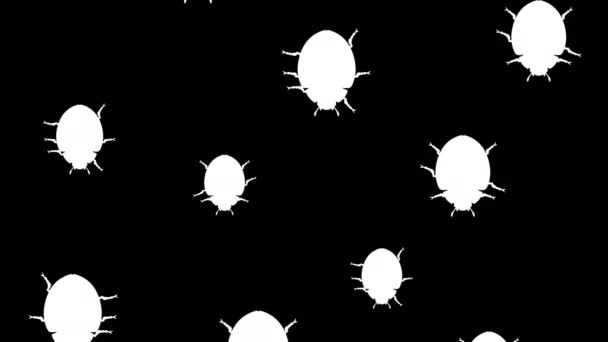 Invasão de besouros — Vídeo de Stock