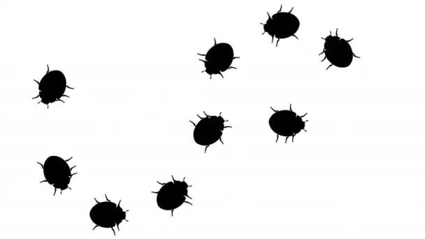 甲虫在禁止标志 — 图库视频影像