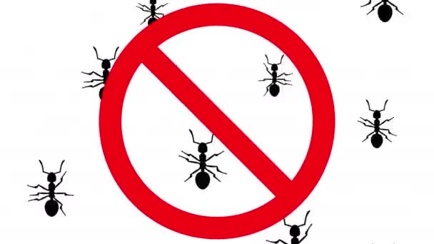 Hormigas en señal de prohibición — Vídeo de stock