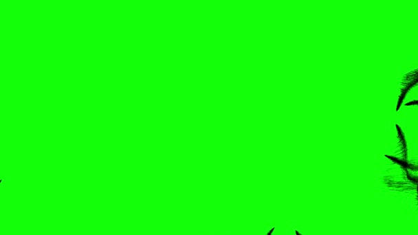 黒い粒子の流れを埋める緑色の画面 アニメーション — ストック動画