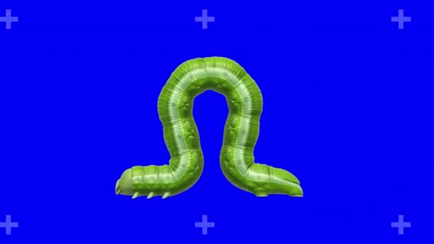Caterpillar on blue, looping 3D animation — Stock Video