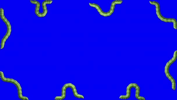 Chenilles sur bleu, animation 3D en boucle — Video