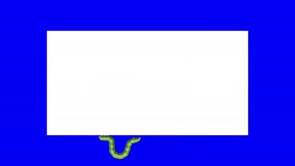 Lagarta em retângulo branco, looping animação 3D — Vídeo de Stock