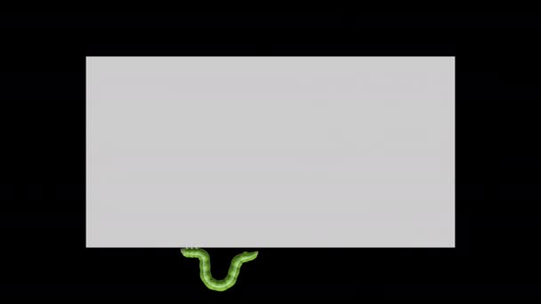Caterpillar a szürke téglalap, hurkolás 3D animáció — Stock videók