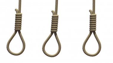 Hangmans beyaz, sorunsuz döngü üzerinde ilmik