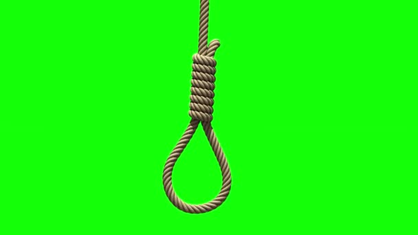 Hangmans noose on green screen, seamless loop — Stock Video