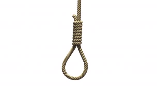 Hangmans noose on white background — Stock Video