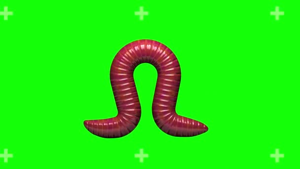 Červ na zelené, opakování 3D animace — Stock video