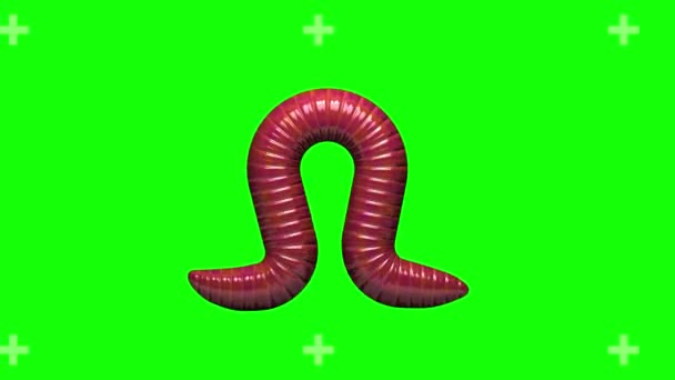 Gusano en verde, looping animación 3D — Vídeos de Stock