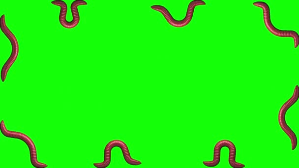 Worms on green, looping 3D animation — Stock Video