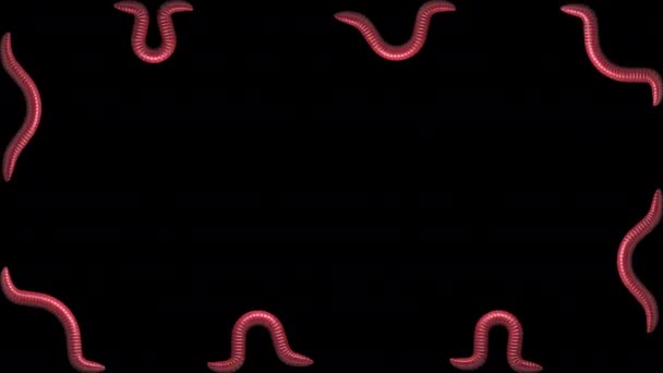 Červi na průhledném pozadí, opakování 3D animace — Stock video