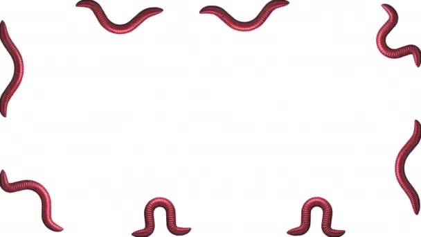 Červi na bílém s alfa maticí, opakování 3D animace — Stock video