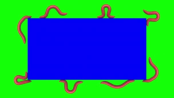 Worms on blue rectangle, looping 3D animation — Stock Video