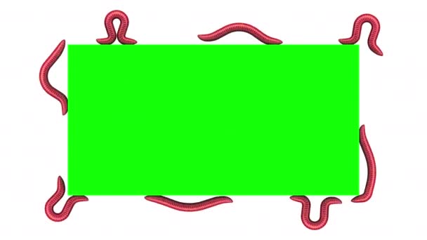 Vermi sul rettangolo verde, animazione 3D loop — Video Stock