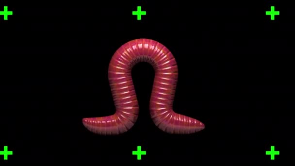 Worm op transparante achtergrond, looping 3D-animatie — Stockvideo