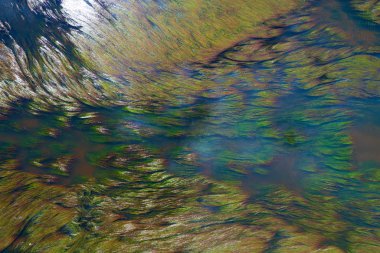Nehir akarsu ve vivd yeşil su akan yosun yukarıdan görüntüleyin