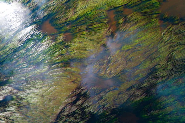 Nehir Akarsu Vivd Yeşil Akan Yosun Yukarıdan Görüntüleyin — Stok fotoğraf
