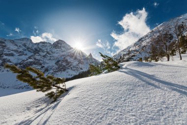 Kış manzarası göl Morskie Oko (Tatra Milli Parkı), Polonya alınan Tatra Dağları ile.