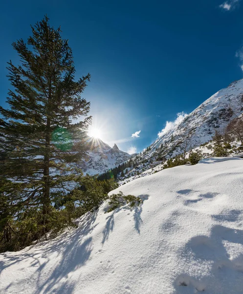 波兰莫尔斯基湖 塔特拉国家公园 拍摄的塔特拉山冬季景观 — 图库照片