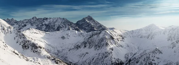 Panoramautsikt Över Vinterlandskap Med Tatrabergen Zakopane Polen — Stockfoto