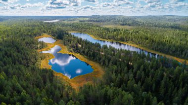 Yukarıdan Karelia ormanları ve gölleri